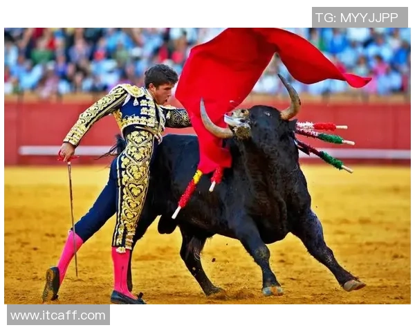 足球巨星1v1斗牛对决激情碰撞展现技巧与智慧谁能笑到最后